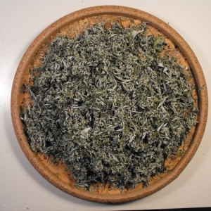 Item: #213 - Artemisia vulgaris