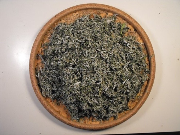 Item: #213 - Artemisia vulgaris