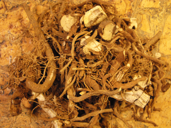 Item: #214(b) - Atropa belladonna (roots) <*> - Image 2