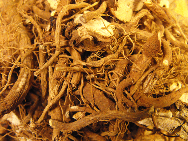 Item: #214(b) - Atropa belladonna (roots) <*>