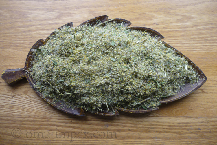 Solidago canadensis Item: #307- Solidago canadensis